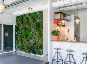 greenery on a wall next to a white kitchen