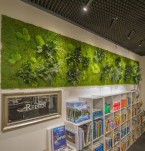 rectangular panel of greenery on a white wall hanging above white bookshelves full of books