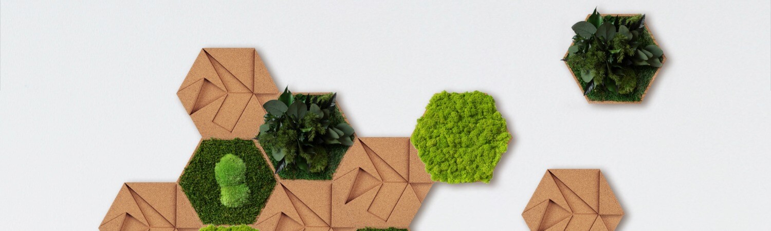 hexagon cork frames of greenery and hexagon cork with geometric patterns