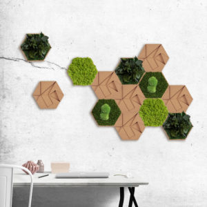 hexagon cork frames of greenery and hexagon cork with geometric patterns