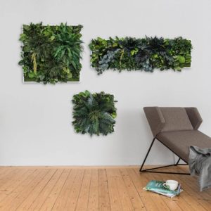 white wall with square and rectangular frames of greenery