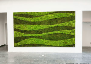 panel of light and dark green moss creating a wavy design against a white wall