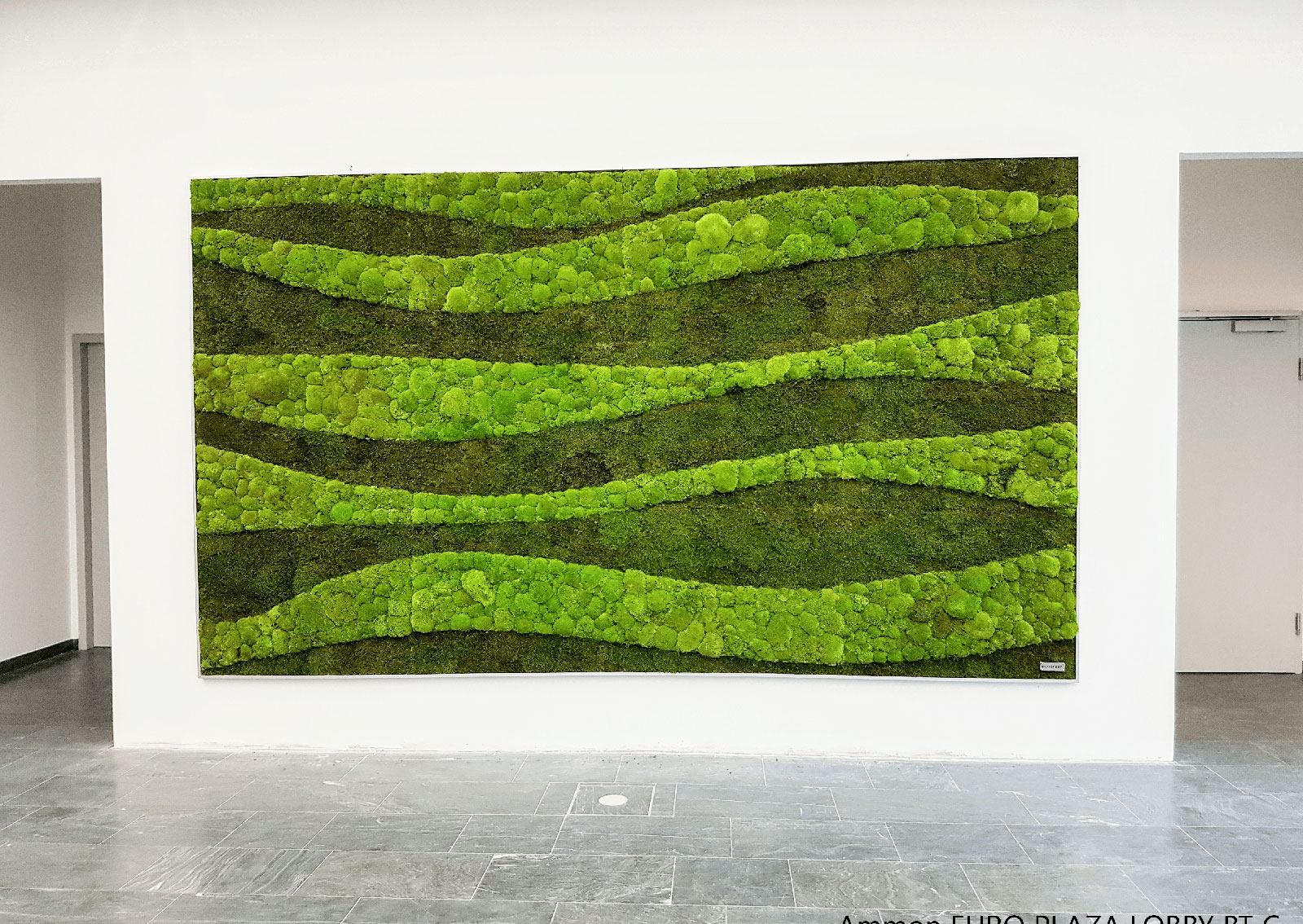 panel of light and dark green moss creating a wavy design against a white wall