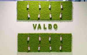 two rectangles of moss with bottles attached to them and a sign of greenery in the middle