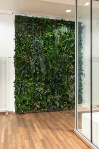 wall panel of greenery against a white wall