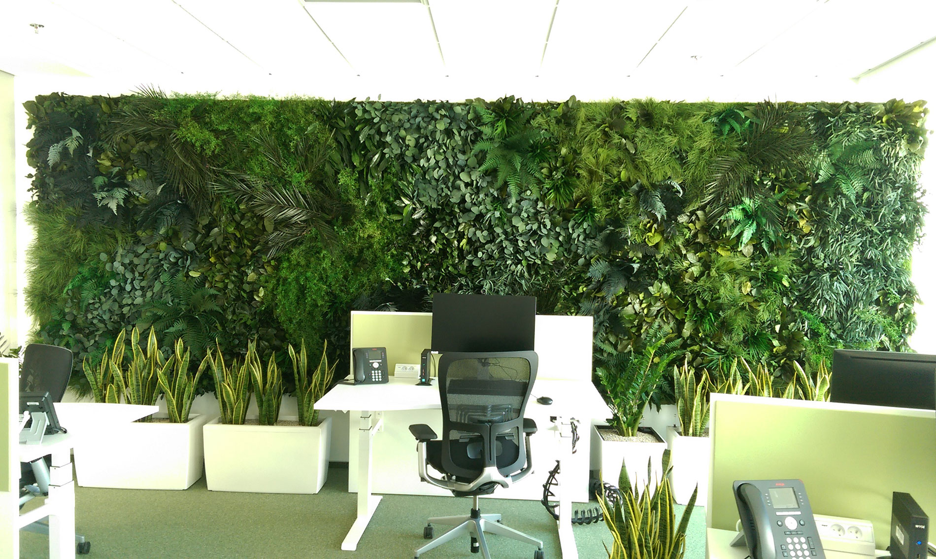 white desk with black chair against a wall of greenery