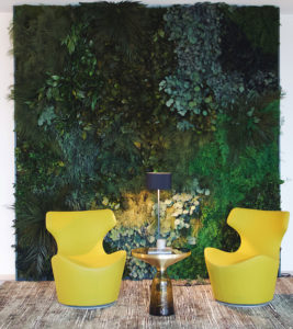 a wall of greenery with two yellow chairs in front of it and a side table in the middle of them