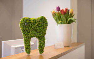 tooth statue of greenery on desk