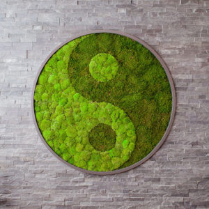 Yin and Yang Moss Logo - Vibe
