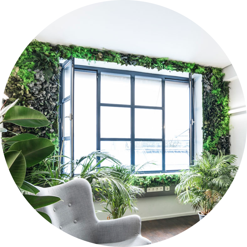 window surrounded by greenery with grey chair in front of it