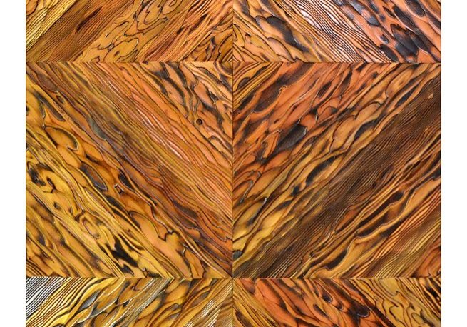 002d-Burnt Phoenix Highlight diagonal panels burnt phoenix highlight diagonal wooden panels