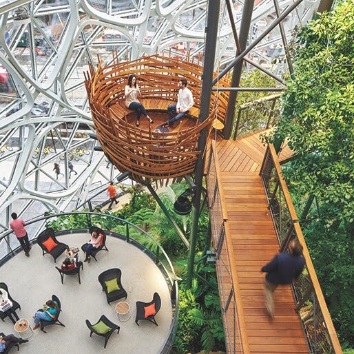 Biophilic Space - Vibe