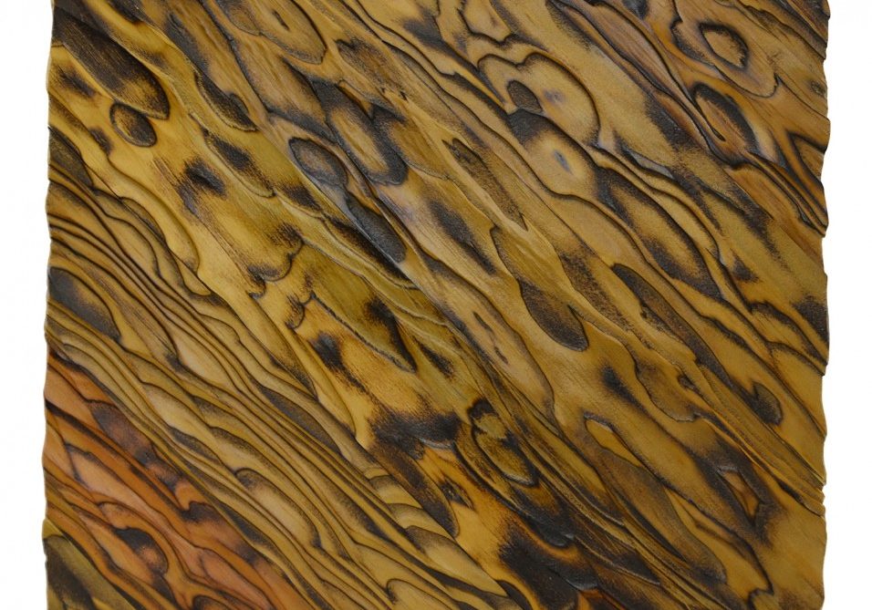 Pheonix highlight phoenix highlight tan and dark wooden textured panel